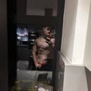 @nicolasliftsss