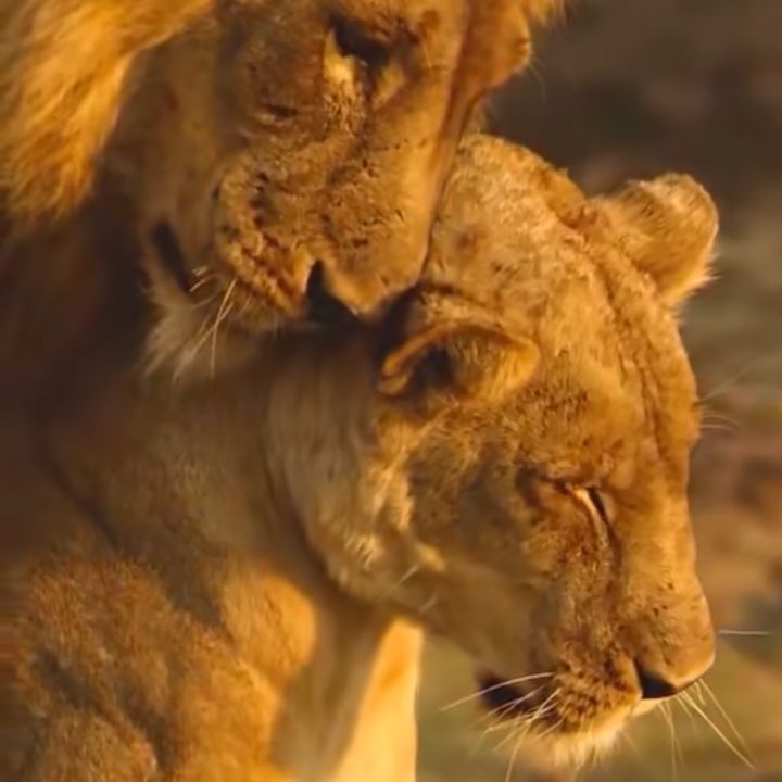 @nkhani77