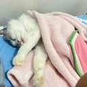 @nna_1112