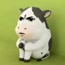 @nnfoccs_