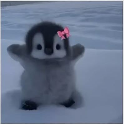 @nominerdene721