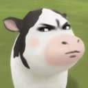 @noynooot