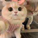 @oouu685