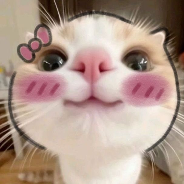 @oyayyinthesky