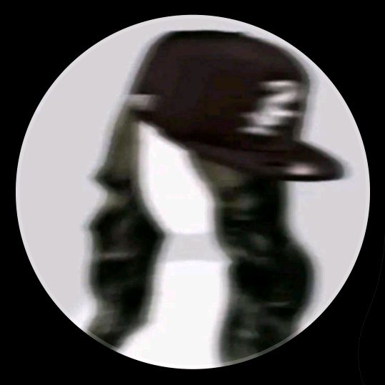 @palkdirof.ze