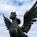 @pegasus.lima777