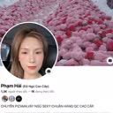 @phamhaidongucaocap