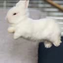 @ppinkbunnyy