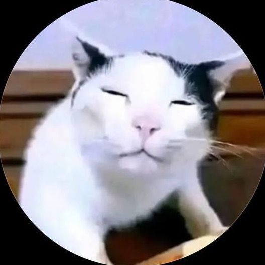 @ppppppppp_168