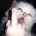 @priiinnnceessss