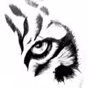 @princeahmedd