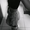@pvd_dalua1.4