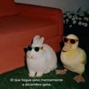 @retos_4