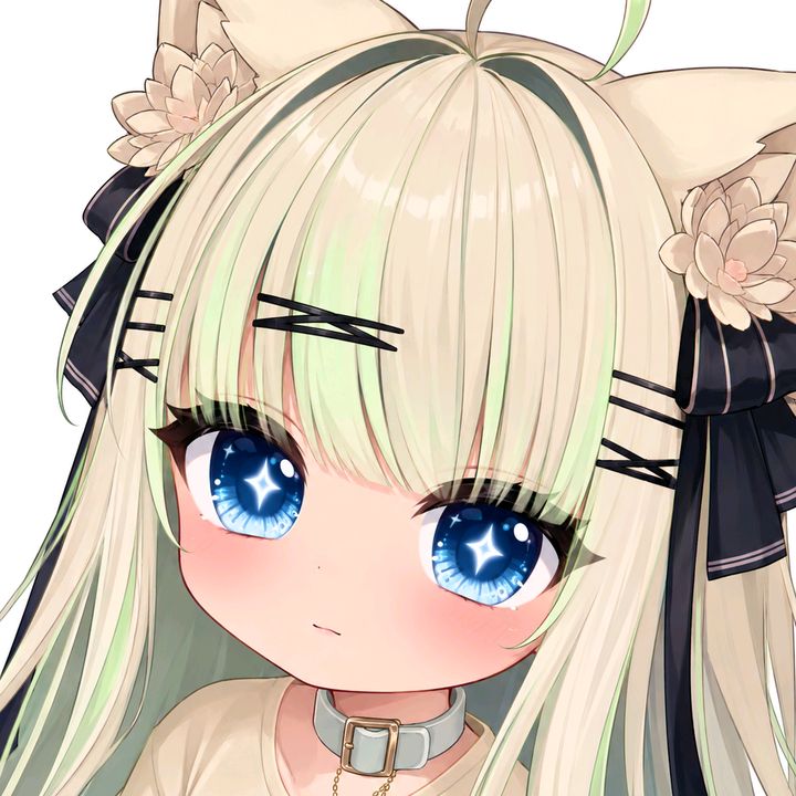 @rishua.vr