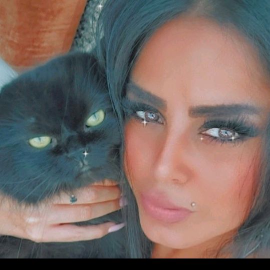 @saharjk11