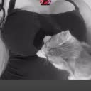 @sara_12345a