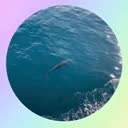 @secret.spamer5