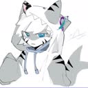 @shark_guy18