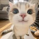 @sky.mlbb5