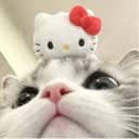 @soda.476