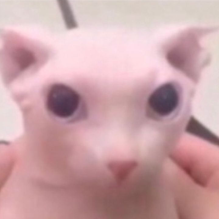 @sopamedo1