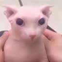 @sopamedoo