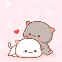 @suca4582
