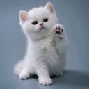 @tasofczd2z7
