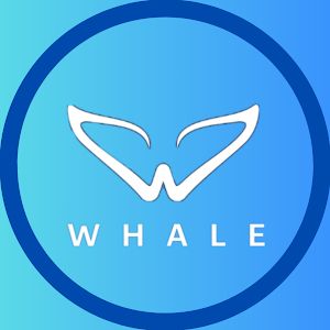 @teamwhalepanama
