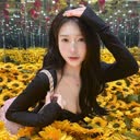 @tg.thaf27