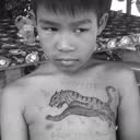 @thanado_n2
