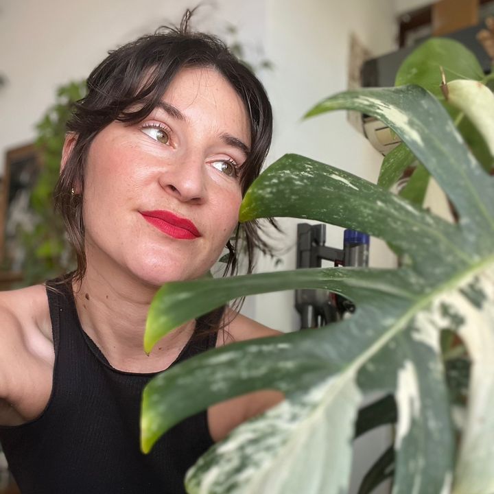 @thehouseplantqueen