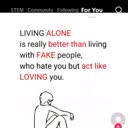 @toto.dolly8