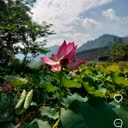 @trieuyzhbs5