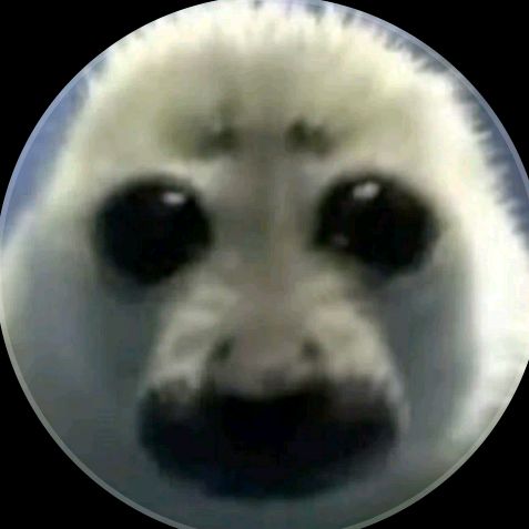 @tulen_capibara