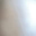 @useer441117gi