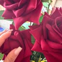 @user085358899