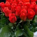 @user14116699650433