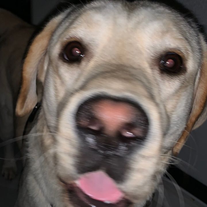 @user27181603352787