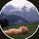 @user30pb4w6wp6