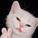 @user340008750
