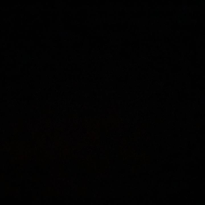@user420019734