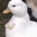 @user44627393625252
