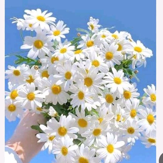 @user4477418571151