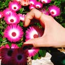 @user5611284629455