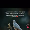 @user7633050033745