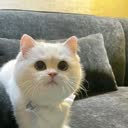 @user7998483788047