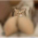 @userqsg08didfk