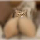 @usert04wmswxp0
