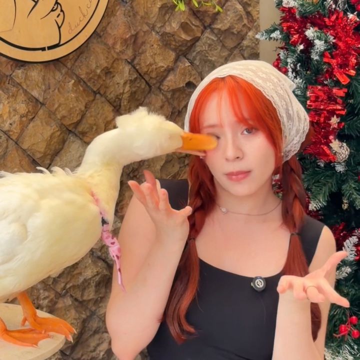 @vfeliciwa